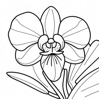 Orchid Flower Coloring Page 22313-18086