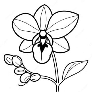 Orchid Flower Coloring Page 22313-18087