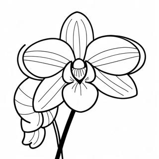 Orchid Flower Coloring Page 22313-18088