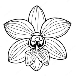 Beautiful Orchid In Bloom Coloring Page 22314-18089