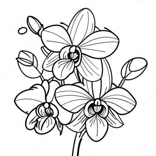 Beautiful Orchid In Bloom Coloring Page 22314-18090