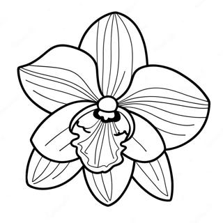 Beautiful Orchid In Bloom Coloring Page 22314-18091