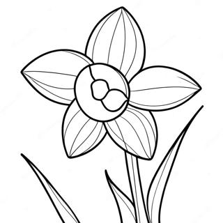 Daffodil Coloring Page 22353-18114