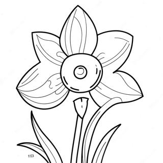 Daffodil Coloring Page 22353-18116