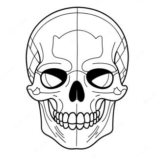 Simple Blank Skull Diagram Coloring Page 23034-18654