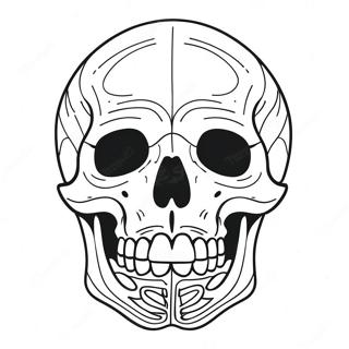 Simple Blank Skull Diagram Coloring Page 23034-18655