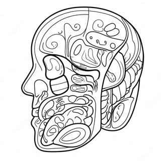 Body Parts Coloring Pages