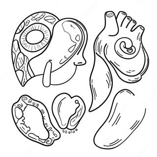 Body Parts Coloring Page 23503-19026