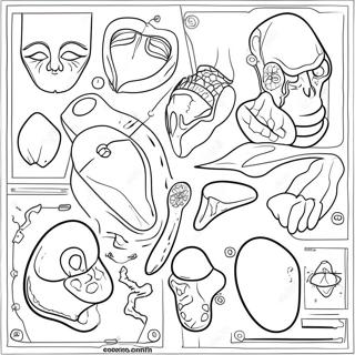 Body Parts Coloring Page 23503-19027