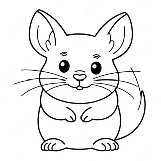 Chinchilla Coloring Page 23693-19181