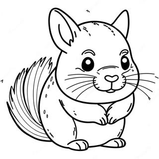 Chinchilla Coloring Page 23693-19184