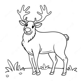 Realistic Reindeer Coloring Pages