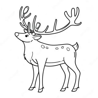 Realistic Reindeer Coloring Page 241-194