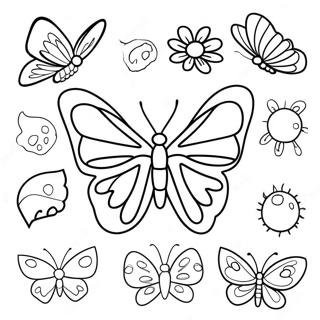 Life Cycle Of A Butterfly Coloring Page 24433-19772