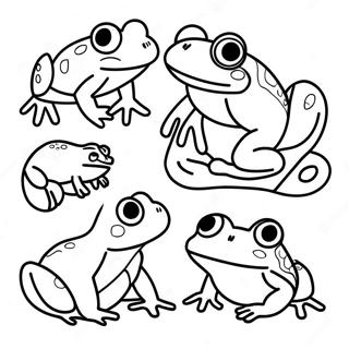 Colorful Life Cycle Of A Frog Coloring Page 24434-19779