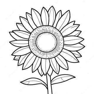 Vibrant Sunflower Coloring Page 24694-19981