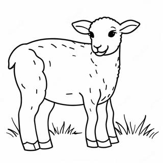 Lamb Coloring Pages