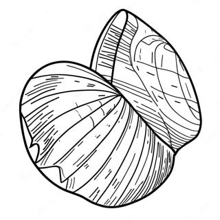 Seashell Coloring Pages