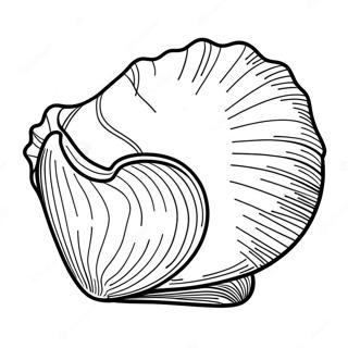 Seashell Coloring Page 2591-2183