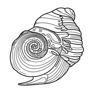 Seashell Coloring Page 2591-2184