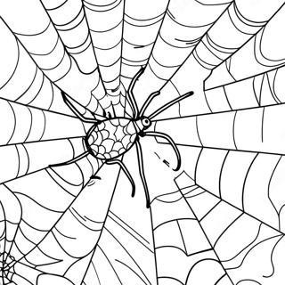 Spider Web Coloring Pages