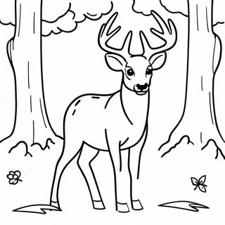 Buck Realistic Deer Coloring Pages