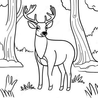 Buck Realistic Deer Coloring Pages