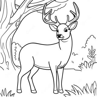 Majestic Buck Deer Standing Proud Coloring Page 26574-21468