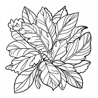 Colorful Herb Leaves Coloring Page 27874-22497