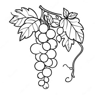 Vine Coloring Pages