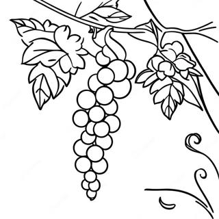 Vine Coloring Page 29523-23808