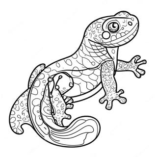 Salamander Coloring Pages