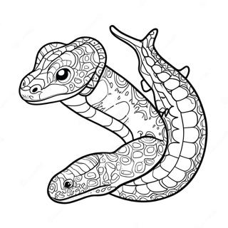 Salamander Coloring Page 30523-24600