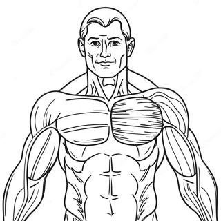 Human Muscles Coloring Pages