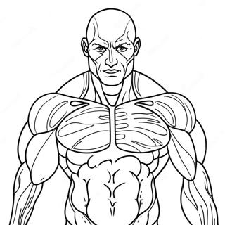 Human Muscles Anatomy Coloring Page 31182-25126