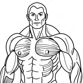 Human Muscles Anatomy Coloring Page 31182-25128