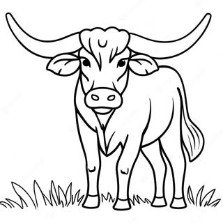 Longhorn Coloring Pages