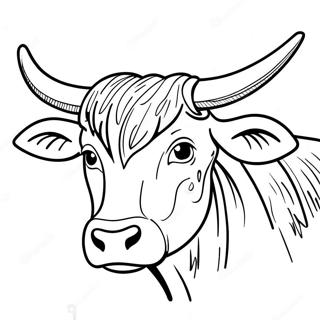 Colorful Longhorn Cattle Coloring Page 32483-26174