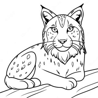 Lynx Coloring Page 32572-26235