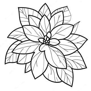 Poinsettia Coloring Pages