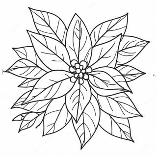 Festive Poinsettia Coloring Page 32603-26262