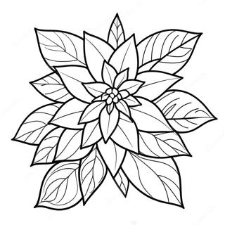 Festive Poinsettia Coloring Page 32603-26264