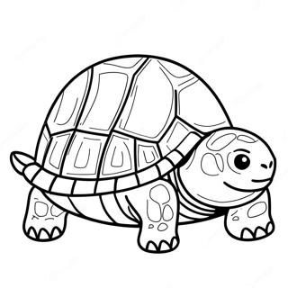 Tortoise Coloring Page 32652-26302