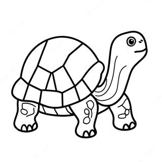 Tortoise Coloring Page 32652-26303