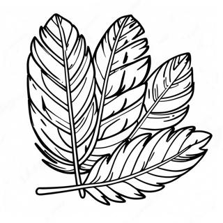 Turkey Feather Coloring Page 33012-26586