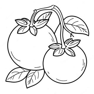 Tomato Coloring Page 33092-26654