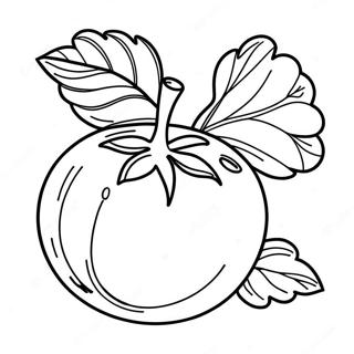 Tomato Coloring Page 33092-26655