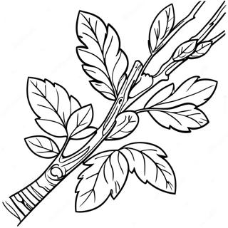 Branch Coloring Page 33162-26706