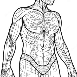 Body Outline Coloring Page 33482-26956