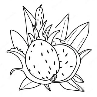 Dragon Fruit Coloring Pages